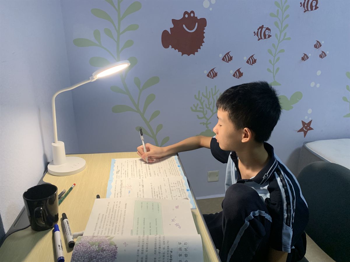 认真做题小少年