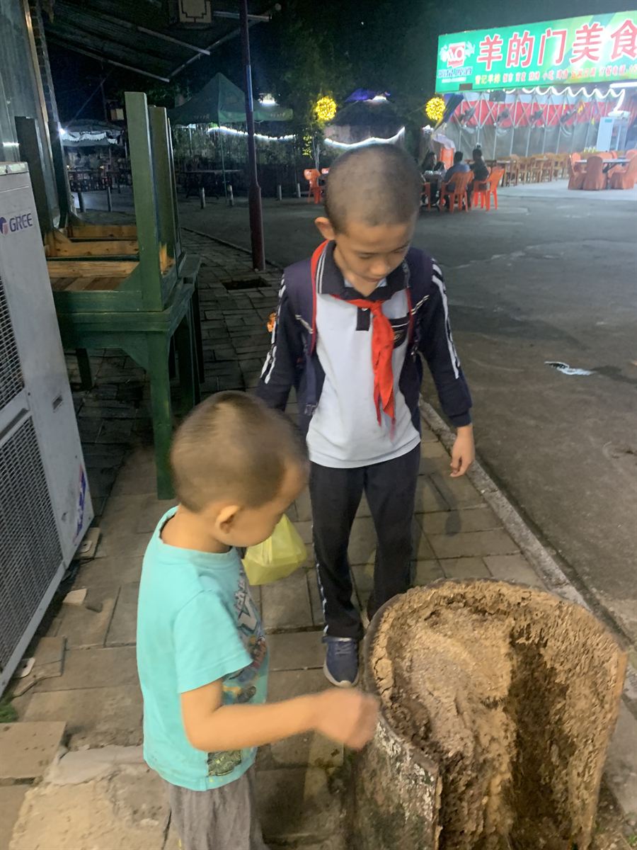 夜晚探索枯树桩