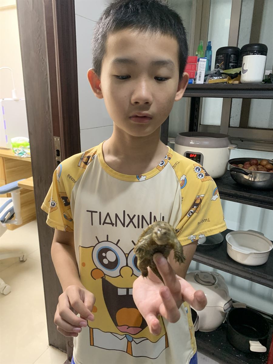 指尖托起小乌龟