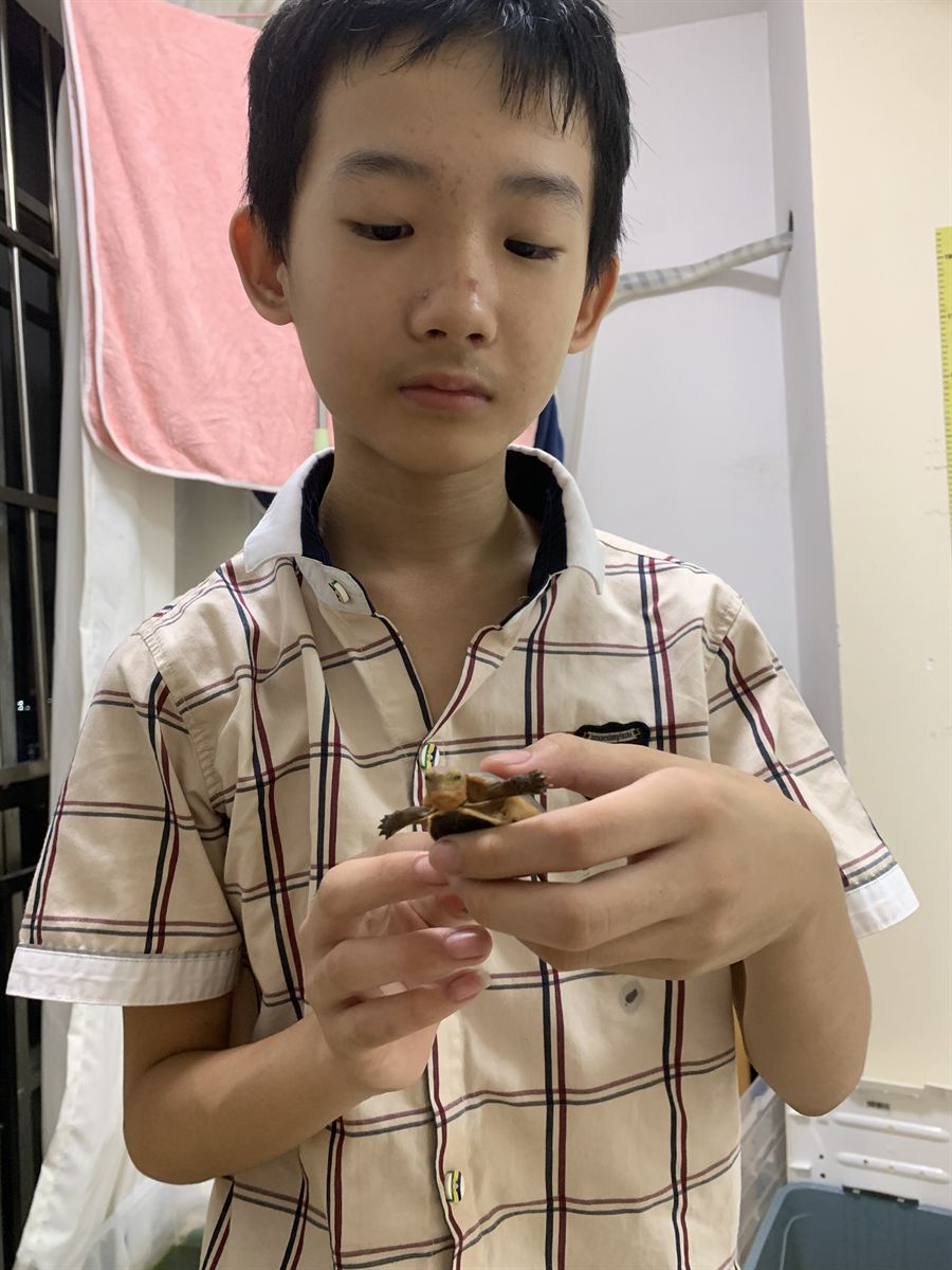 捧龟细细观察