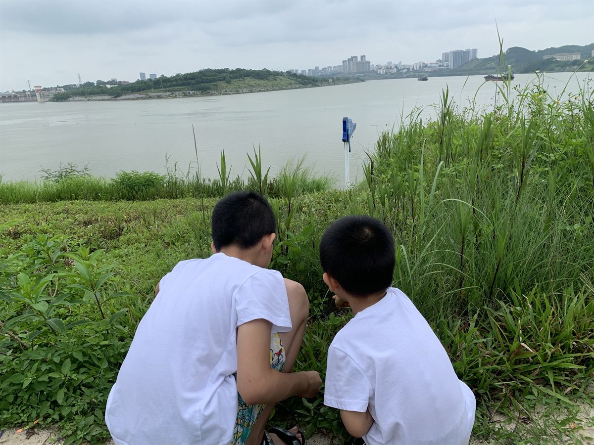 江畔青草坡