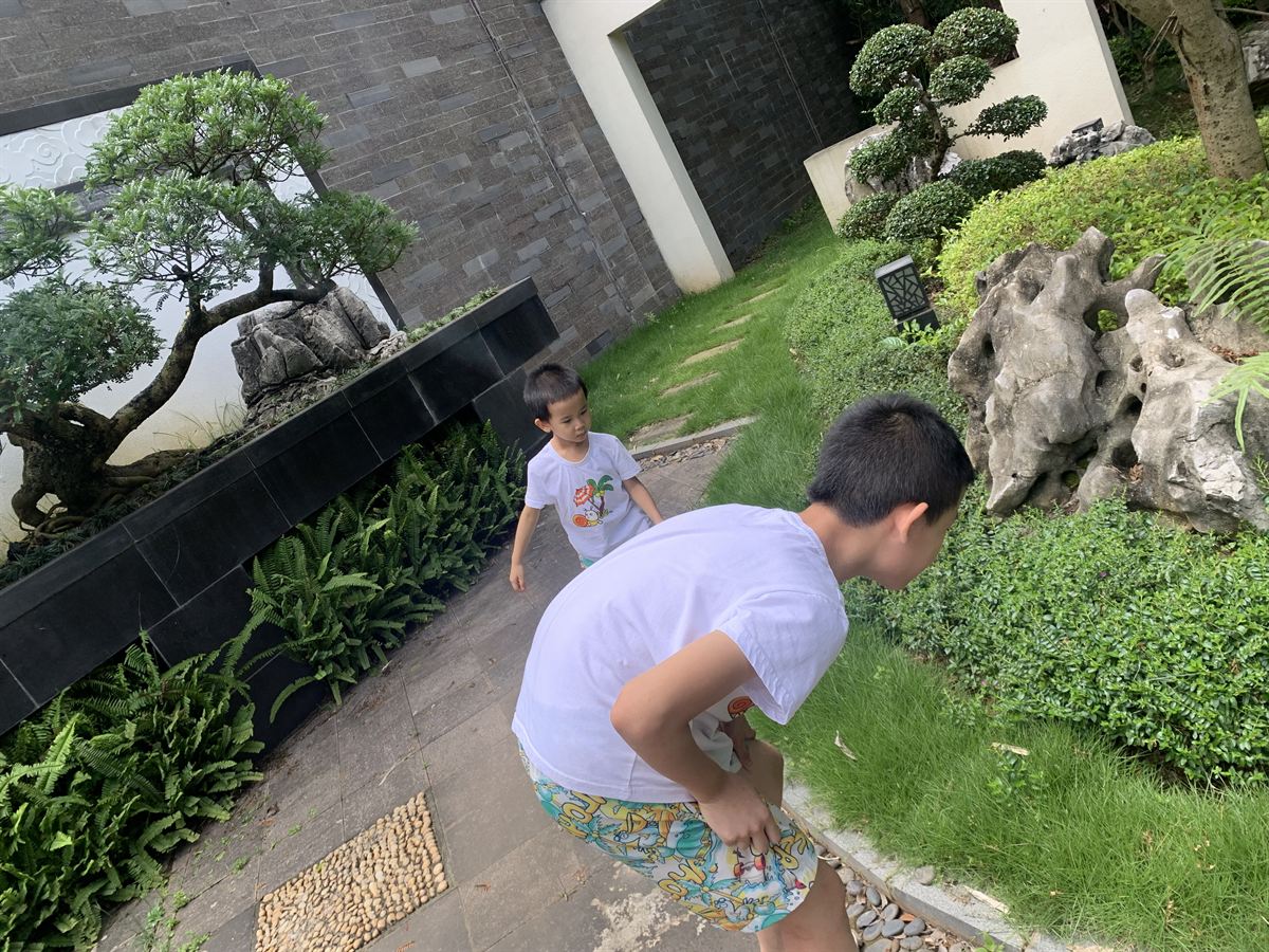 怪石边探寻