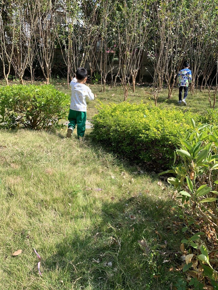 草地奔跑嬉戏